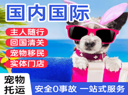 临沧博尚机场物流国际宠物托运 【国